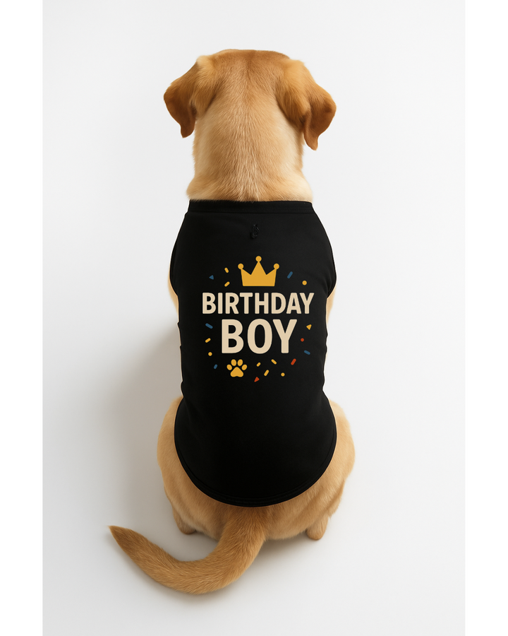 Birthday Boy – Dog Birthday T-Shirt with Crown 🎉🐾