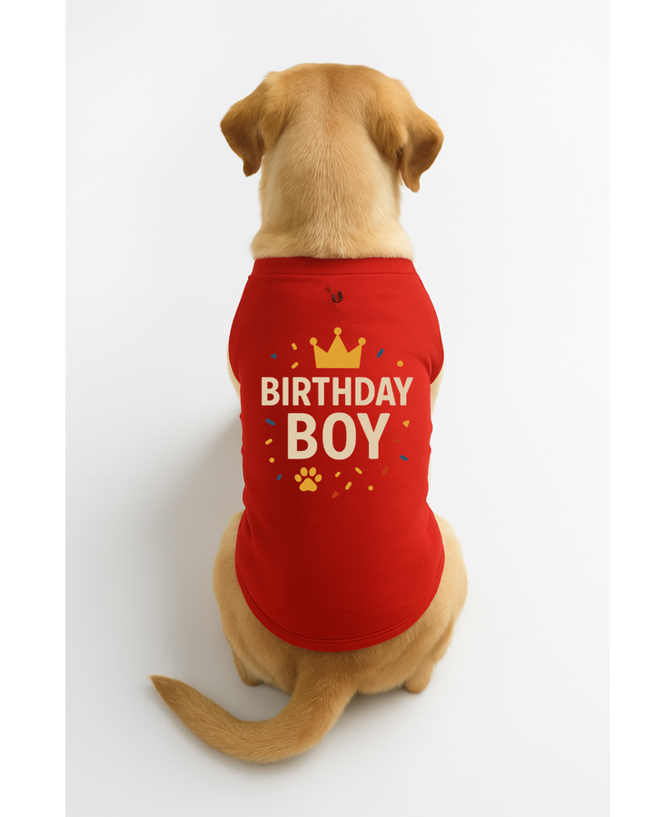 Birthday Boy – Dog Birthday T-Shirt with Crown 🎉🐾