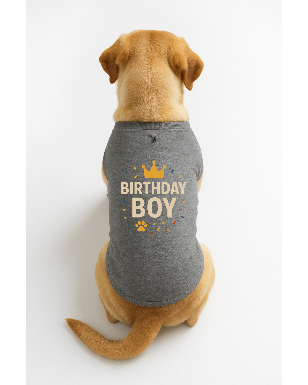 Birthday Boy – Dog Birthday T-Shirt with Crown 🎉🐾