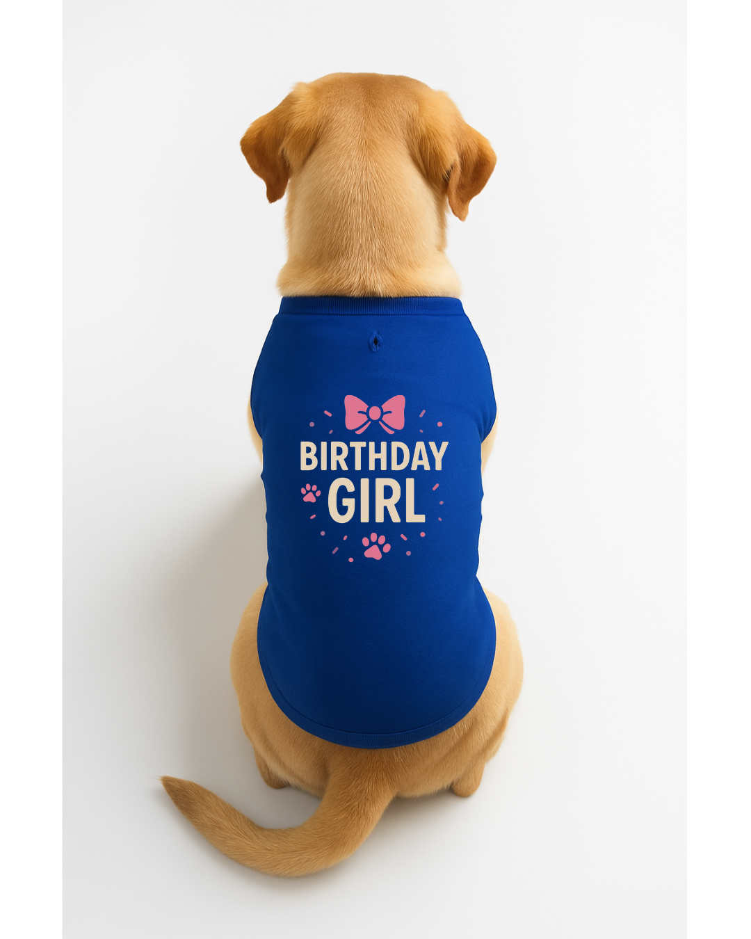 Birthday Girl – Party-Ready Dog T-Shirt with Bow 🎀🐾