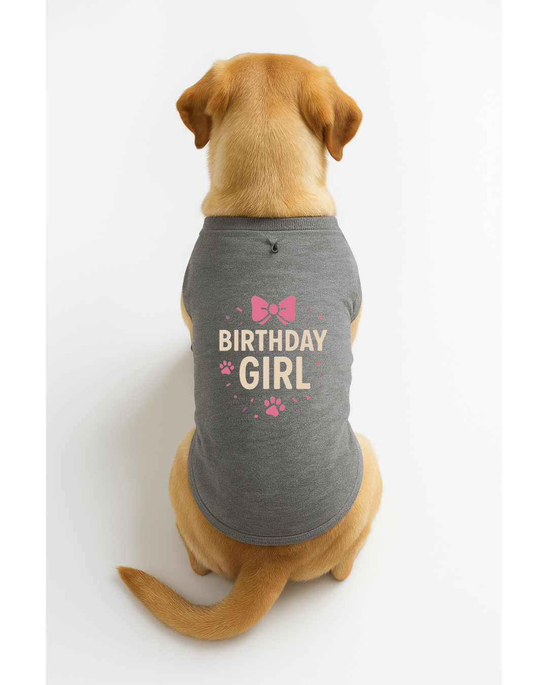 Birthday Girl – Party-Ready Dog T-Shirt with Bow 🎀🐾