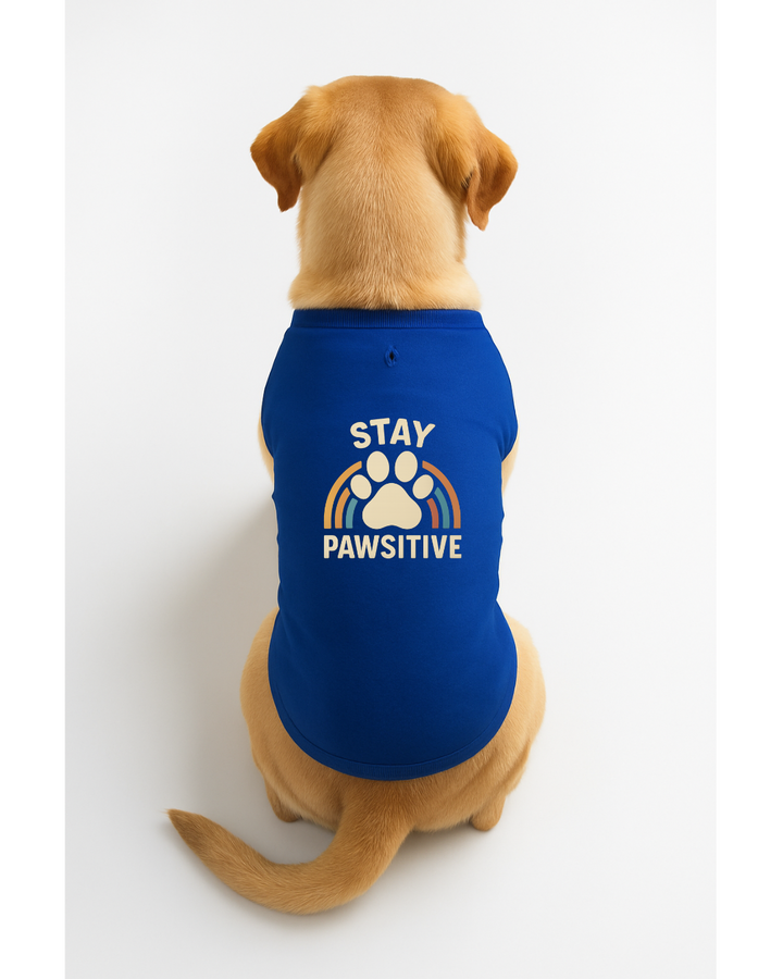 Stay Pawsitive – Motivational Dog T-Shirt 🐾🌈