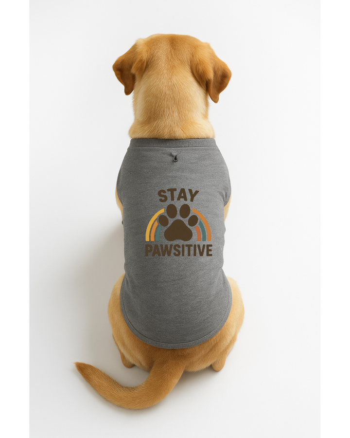 Stay Pawsitive – Motivational Dog T-Shirt 🐾🌈